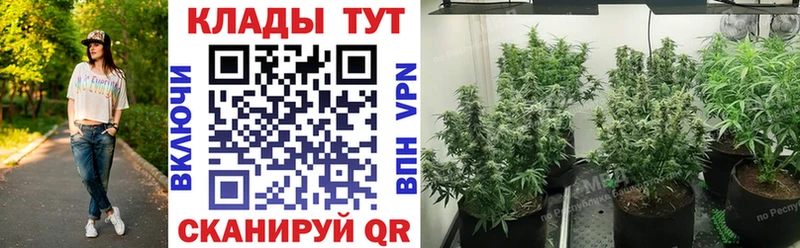 Где можно купить наркотики Касимов Псилоцибиновые грибы  Марихуана  Меф  Гашиш  КОКАИН  A-PVP 