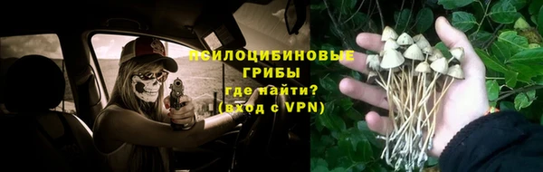 шишки Алзамай