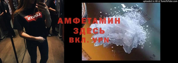 прущие грибы Абинск