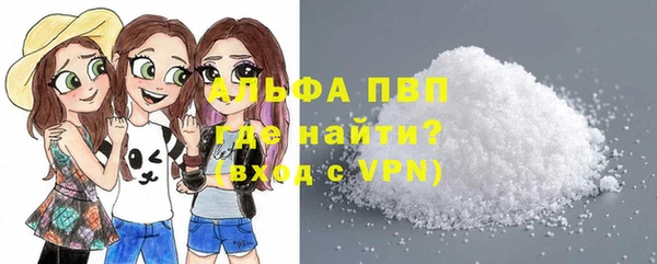 прущие грибы Абинск